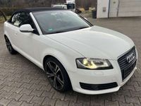 gebraucht Audi A3 Cabriolet Ambition Alcantara/XenonPlus