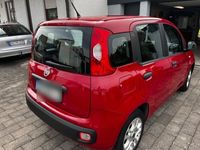 gebraucht Fiat Panda TüV bis 02/26 ohne Mängel