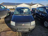Gebraucht Fiat Panda Active 54 PS (39 kW) 2009 Crossover schwarz Kleinwagen