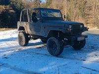 Gebraucht Jeep Wrangler 100 PS (73 kW) 1993 Grün SUV