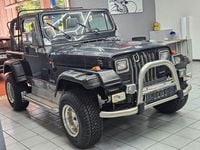 Gebraucht Jeep Wrangler 121 PS (88 kW) 1993 Schwarz SUV