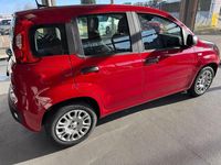 Neu Fiat Panda 69 PS (50 kW) 2025 Rot Kleinwagen