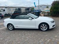 Używany Audi A5 Cabriolet S-Line 211 KM (155 kW) 2010 Biały Kabriolet