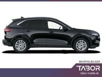 Gebraucht Ford Kuga ST-Line 186 PS (136 kW) 2024 Bursting green SUV