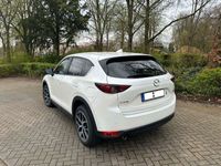 gebraucht Mazda CX-5 2.0 SKYACTIV-G 165 Kangei FWD, Navi+Winterr