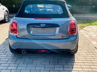 Gebraucht Mini Cooper 136 PS (100 kW) 2019 Grau Kleinwagen