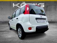 Gebraucht Fiat Panda 69 PS (50 kW) 2024 Gelato weiss Kleinwagen