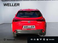 Gebraucht Lexus UX 300h Sport Design Packet 199 PS (146 kW) 2025 Rot SUV