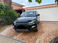 Gebraucht Land Rover Range Rover evoque 190 PS (139 kW) 2014 Grün SUV
