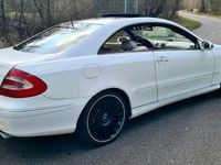 gebraucht Mercedes CLK500 