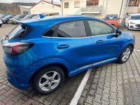 gebraucht Ford Puma ST-Line Vignale 120PS Massage Vollausstattu