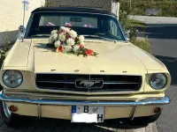 Gebraucht Ford Mustang 300 PS (220 kW) 1965 Cabrio