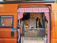 Gebraucht Fiat Ducato 160 PS (117 kW) 2009 Orange Van