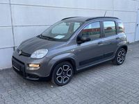 Gebraucht Fiat Panda City Life 69 PS (50 kW) 2022 Grau metallic Kleinwagen