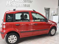 gebraucht Fiat Panda 1.2 8V Dynamic Klimaanlage ZV Allwetter