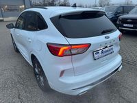 Gebraucht Ford Kuga ST-Line X 224 PS (164 kW) 2022 Frostweiß SUV