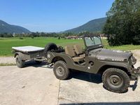 Gebraucht Jeep Willys 73 PS (53 kW) 1959 Grün SUV