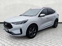 Neu Ford Kuga ST-Line 186 PS (136 kW) 2026 Frozenwhite SUV