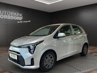 Neu Kia Picanto Vision 68 PS (50 kW) 2025 Silber Kleinwagen