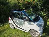 Gebraucht Smart ForTwo Cabrio Passion 71 PS (52 kW) 2014 Weiß Cabrio