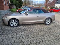 Gebraucht Audi A5 Cabriolet Ambiente 239 PS (175 kW) 2010 Gold Cabrio