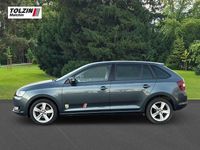 Gebraucht Skoda Rapid Clever 110 PS (80 kW) 2018 Grau Kleinwagen