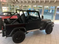 Gebraucht Jeep Wrangler 121 PS (88 kW) 1991 Schwarz SUV