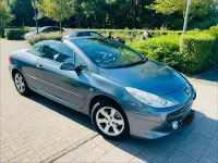 Gebraucht Peugeot 307 CC 140 PS (102 kW) 2006 Grau Cabrio