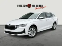 Neu Skoda Octavia Selection 150 PS (110 kW) 2026 Candyweiss Kombi