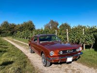 gebraucht Ford Mustang 