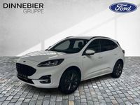 Gebraucht Ford Kuga ST-Line X 224 PS (164 kW) 2023 Weiß SUV