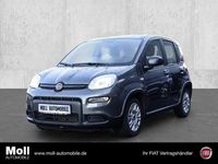 Gebraucht Fiat Panda 69 PS (50 kW) 2023 Grau Limousine