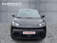 gebraucht BYD Dolphin Surf Boost