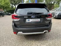 Gebraucht Subaru Forester Platinum 150 PS (110 kW) 2020 Magnetite gray (m) (grau) (metallic) SUV