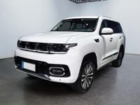 Neu Baic BJ60 256 PS (188 kW) 2025 Waehlbar SUV