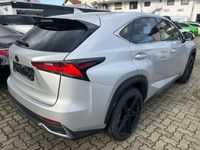 gebraucht Lexus NX300 300h E-FOUR Executive Line Head-Up