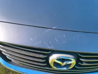 Gebraucht Mazda 6 Edition 150 PS (110 kW) 2017 Kombi
