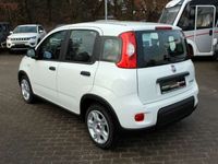 gebraucht Fiat Panda 1.0 Hybrid, Klimaauto,SHZ,WSS-Heizung