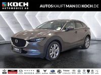 Gebraucht Mazda CX-30 Sky 122 PS (89 kW) 2020 Grau SUV