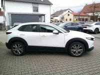 Gebraucht Mazda CX-30 Selection 150 PS (110 kW) 2023 Weiss SUV