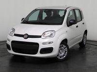 Neu Fiat Panda 69 PS (50 kW) 2025 Weiß, weiß uni Kleinwagen