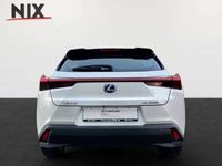 gebraucht Lexus UX 250h KAMERA NAVI SHZ LED KLIMA