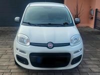 Gebraucht Fiat Panda Young 69 PS (50 kW) 2014 Weiß Kleinwagen