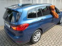 Gebraucht BMW 216 Gran Tourer Advantage 116 PS (85 kW) 2020 Blau Van / Kleinbus