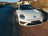 gebraucht VW Beetle 1.4 TSI DSG Blue Motion Technologie Sound Cabrio