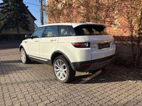 Gebraucht Land Rover Range Rover evoque HSE 150 PS (110 kW) 2016 Fuji white SUV