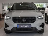Neu Volvo XC40 Plus 163 PS (119 kW) 2025 Vapour grey SUV