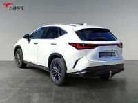 Gebraucht Lexus NX450h+ Business Edition 309 PS (227 kW) 2023 Weiß SUV