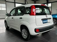 gebraucht Fiat Panda Easy | KLIMA | SH | elekt. Fenster |