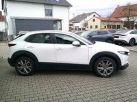 Gebraucht Mazda CX-30 Selection 150 PS (110 kW) 2023 Weiß SUV
